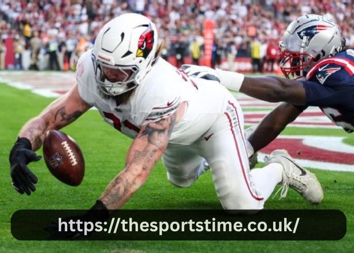 New England Patriots Vs Arizona Cardinals Match Player Stats